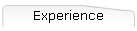 Experience