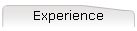 Experience